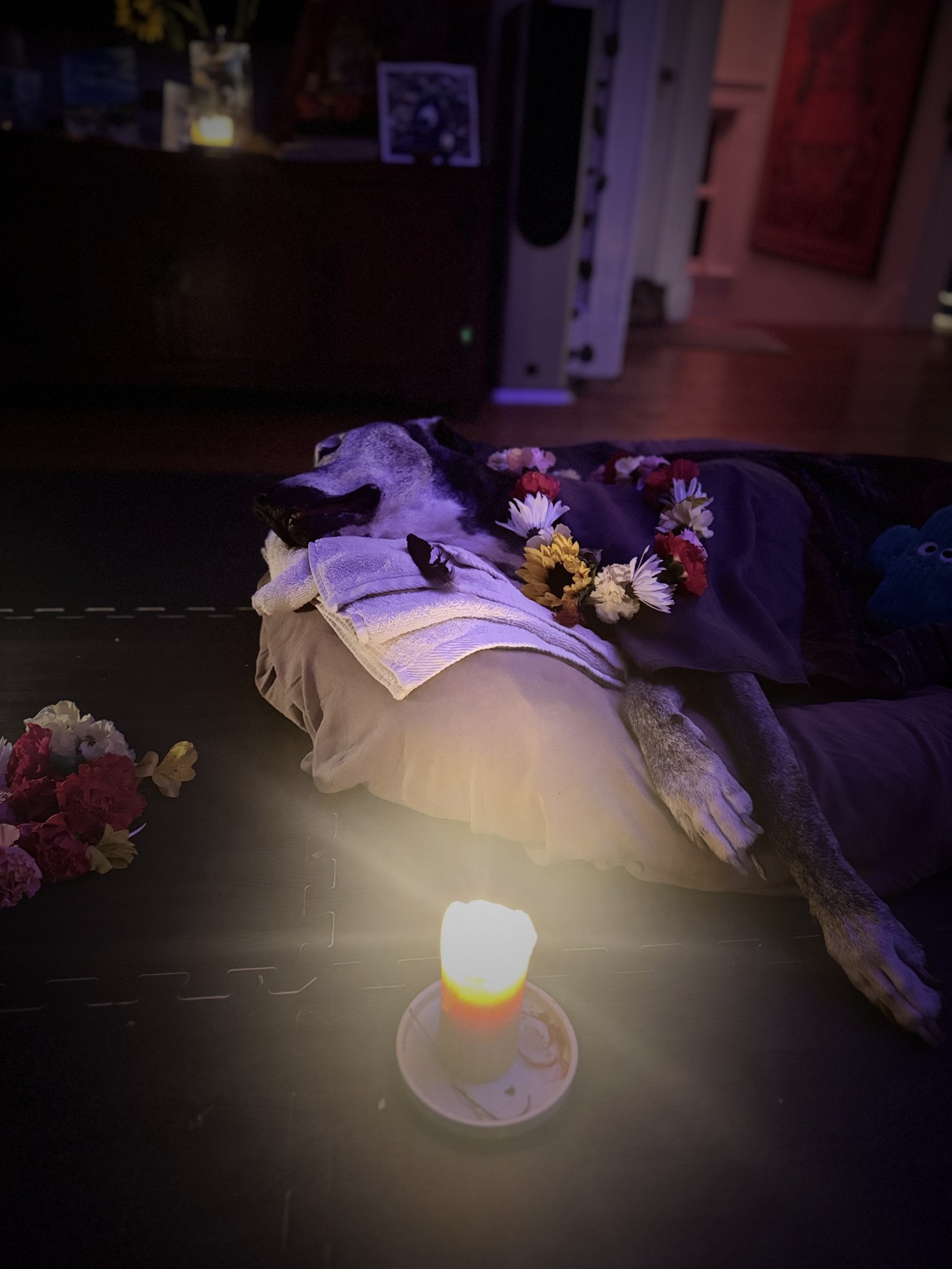 Zen adorned with flower crown, candlelight ceremony